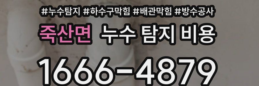 죽산면 누수 탐지 비용