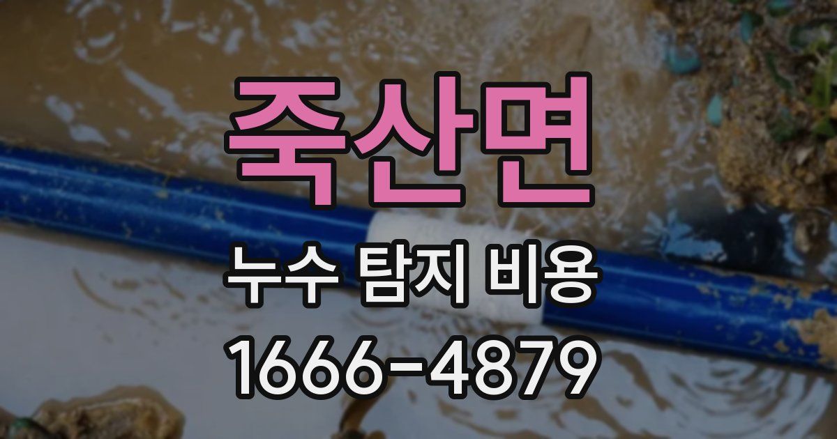 죽산면 누수 탐지 비용