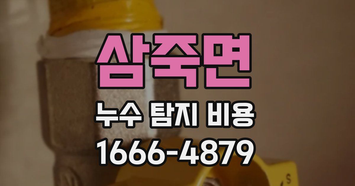 삼죽면 누수 탐지 비용