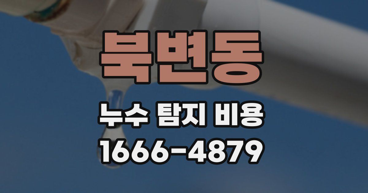 북변동 누수 탐지 비용