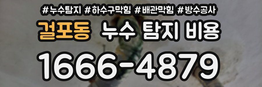걸포동 누수 탐지 비용