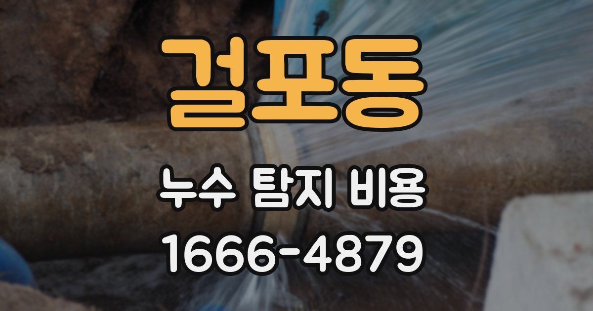 걸포동 누수 탐지 비용