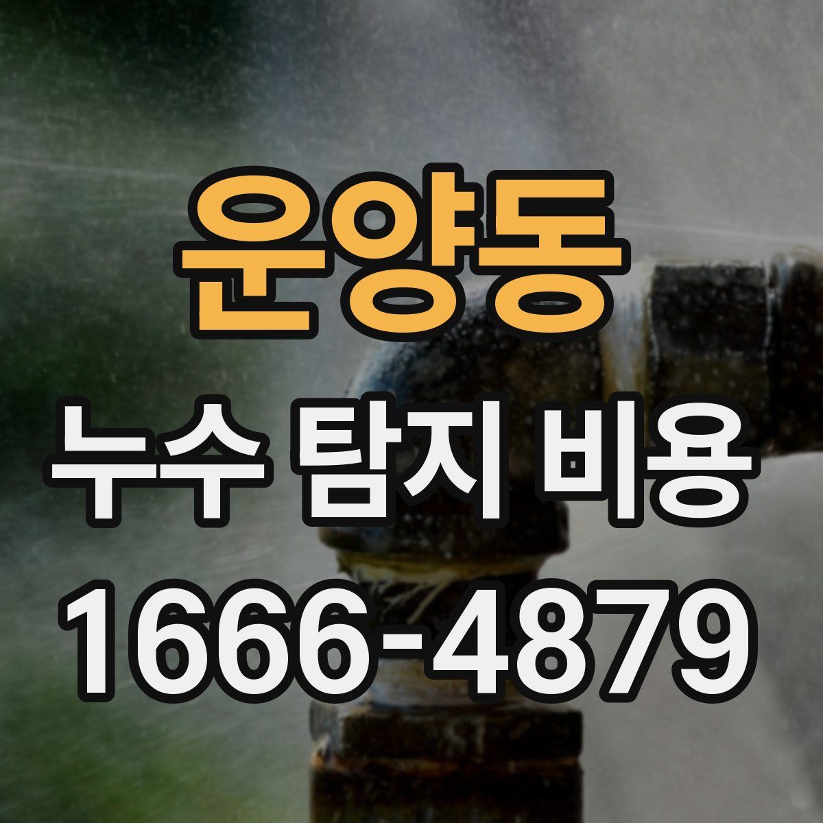 운양동 누수 탐지 비용