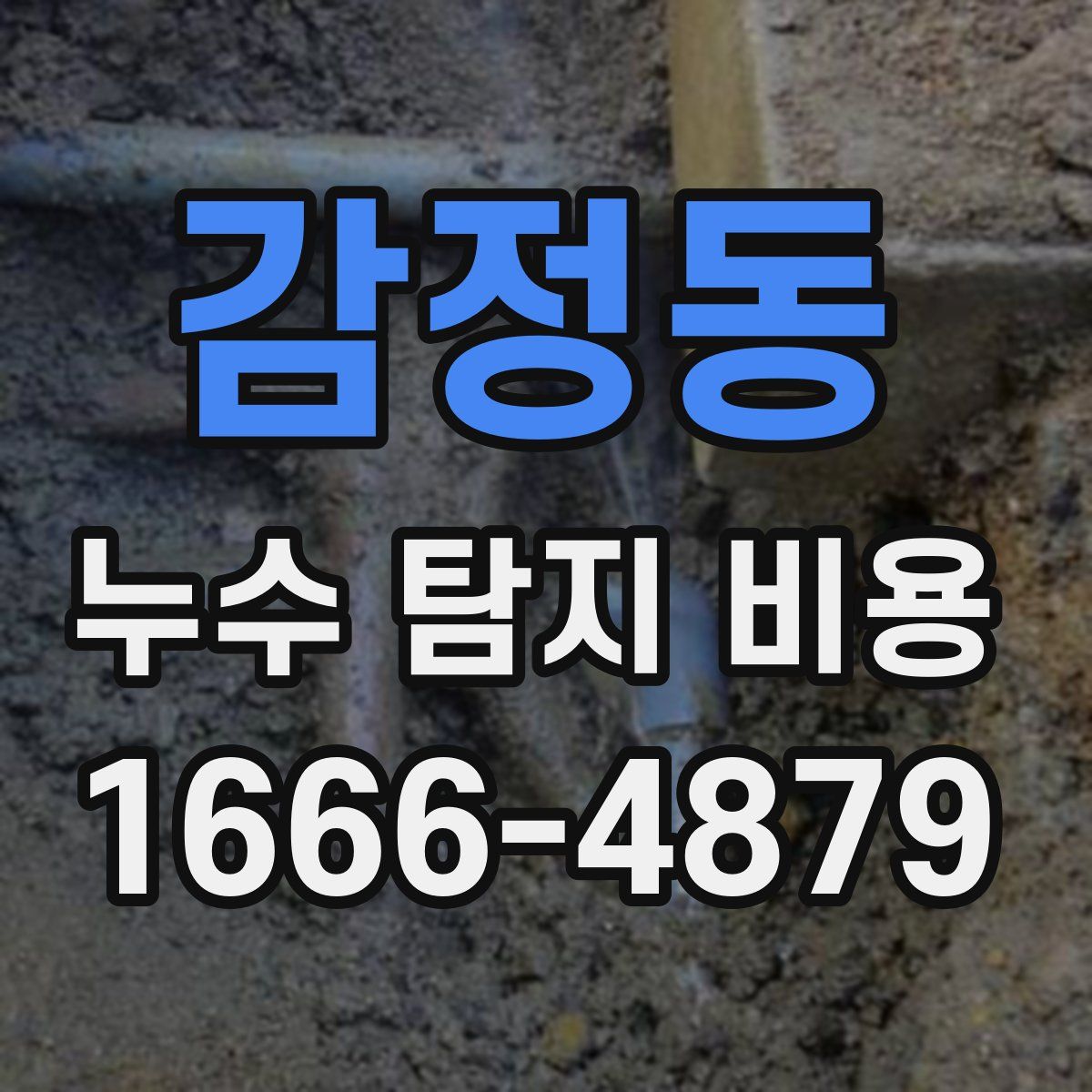 감정동 누수 탐지 비용