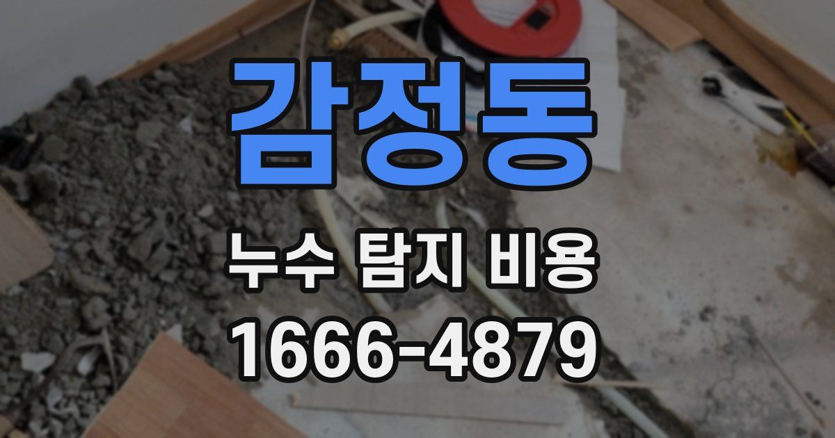 감정동 누수 탐지 비용