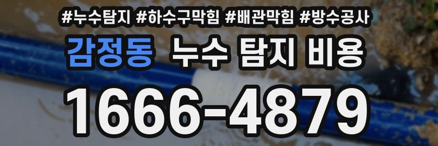 감정동 누수 탐지 비용