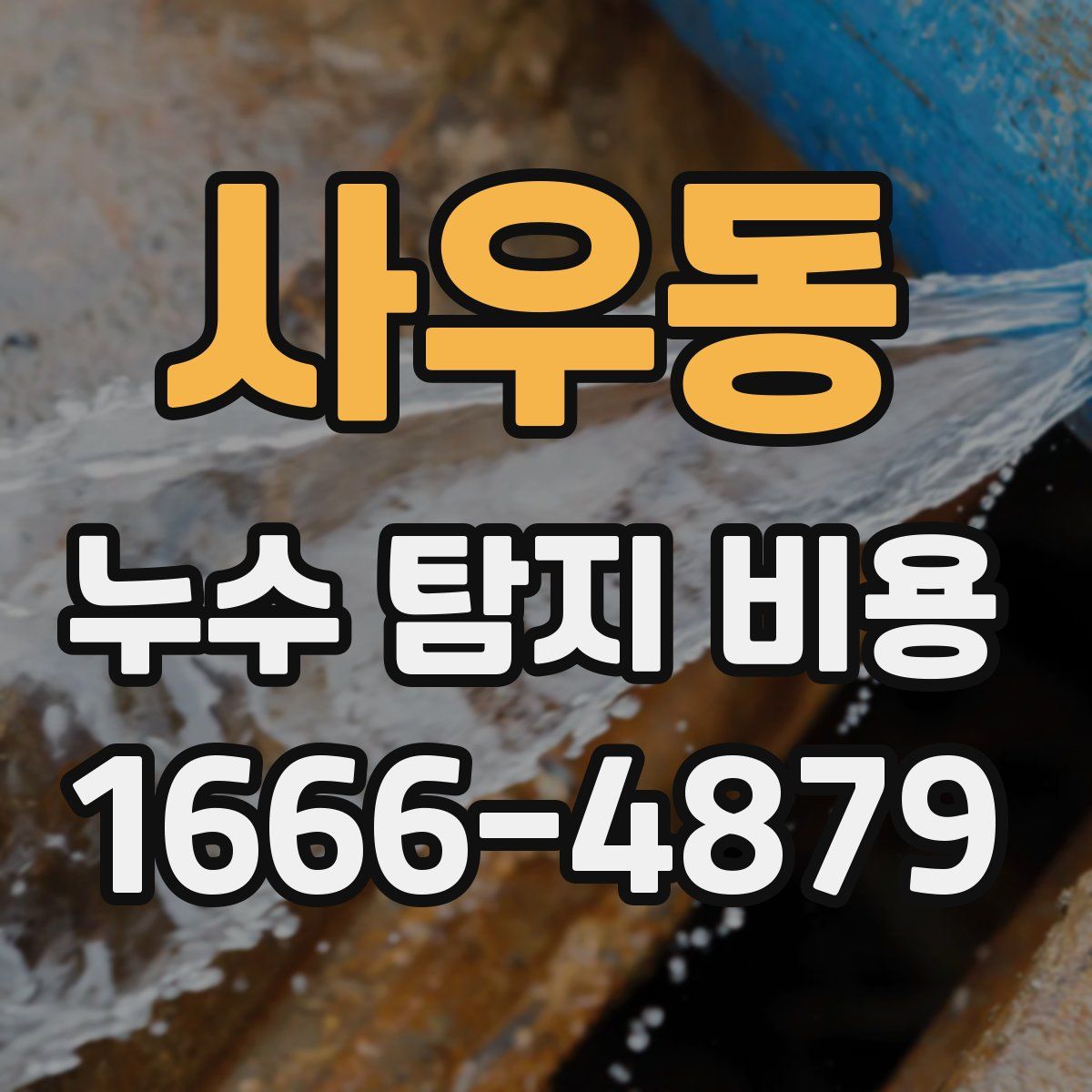 사우동 누수 탐지 비용