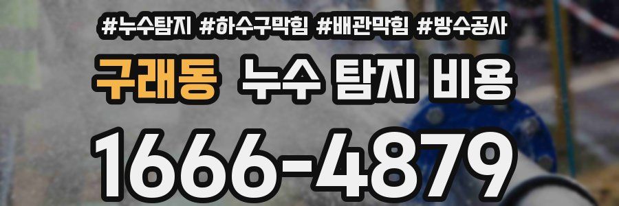 구래동 누수 탐지 비용