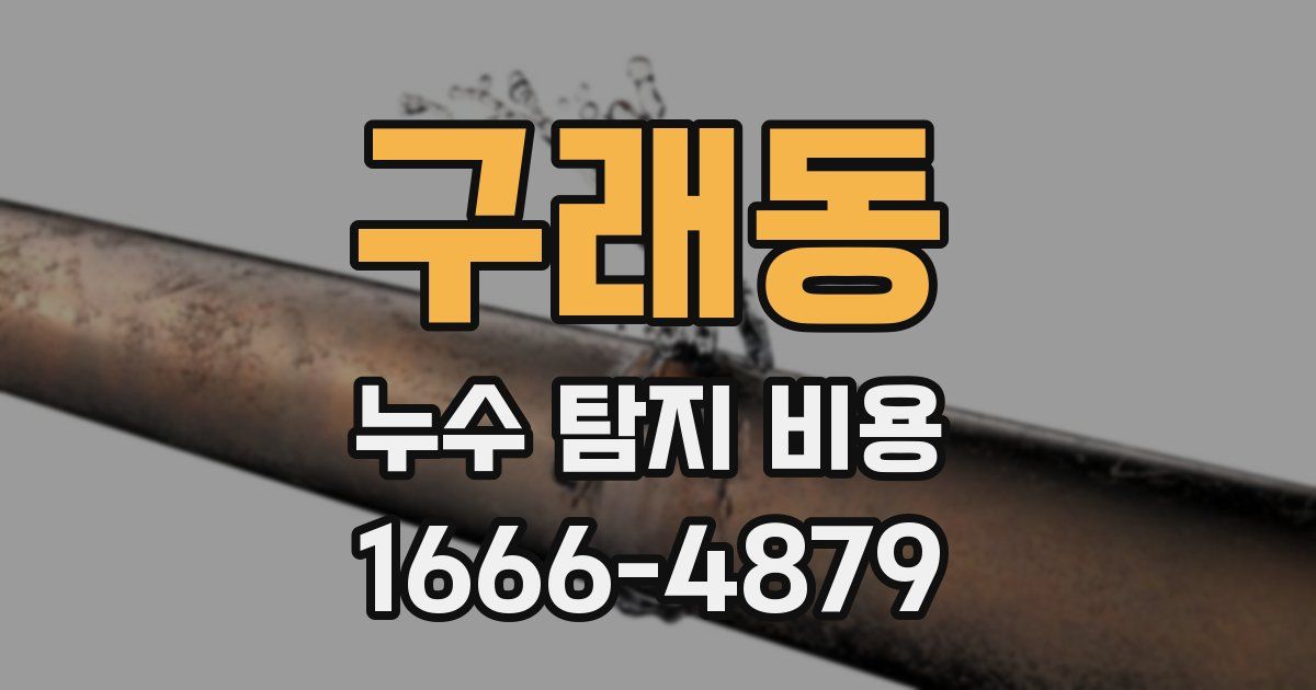 구래동 누수 탐지 비용