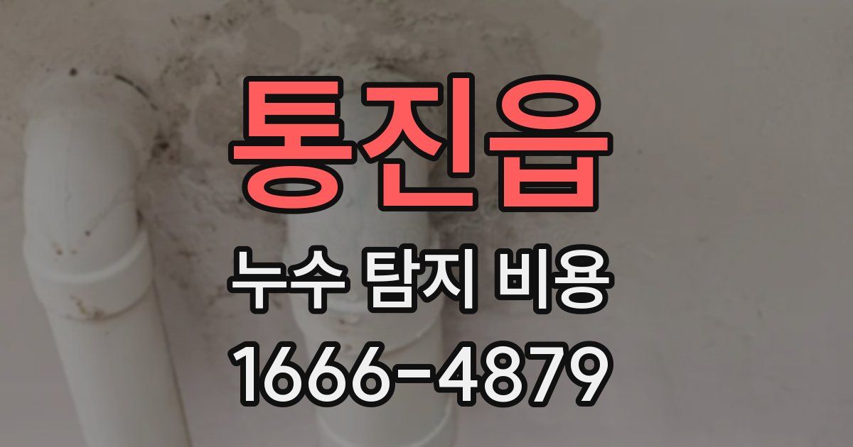 통진읍 누수 탐지 비용