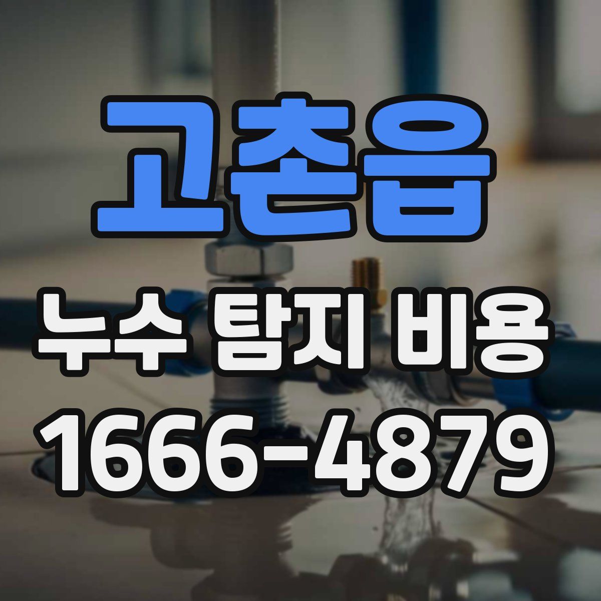 고촌읍 누수 탐지 비용