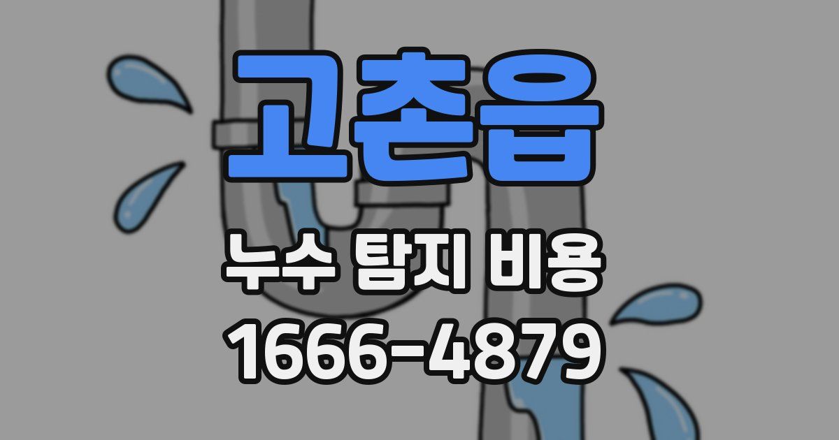고촌읍 누수 탐지 비용