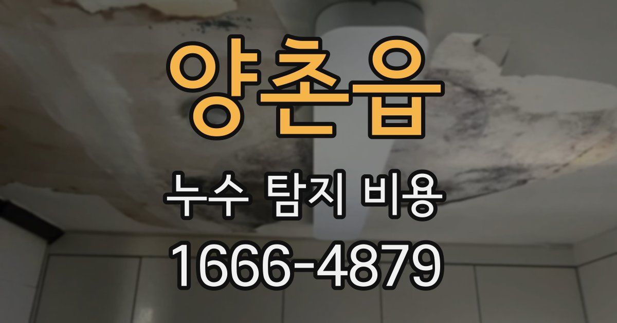양촌읍 누수 탐지 비용