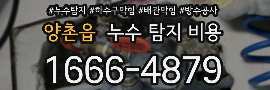 양촌읍 누수 탐지 비용