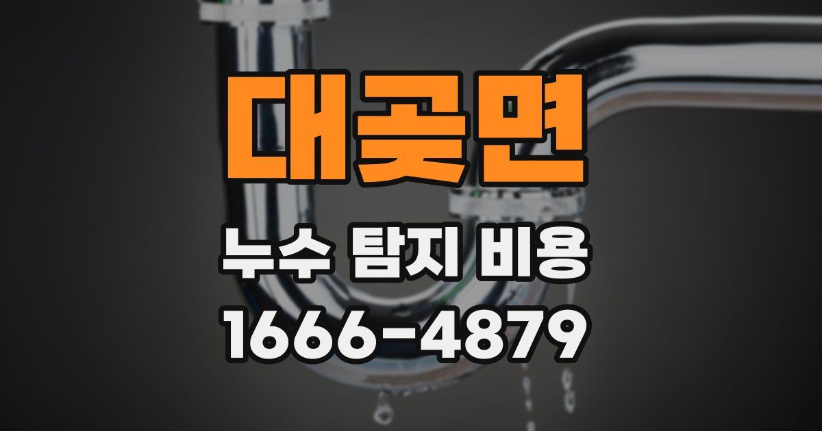 대곶면 누수 탐지 비용