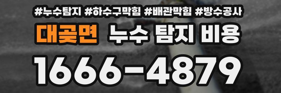 대곶면 누수 탐지 비용