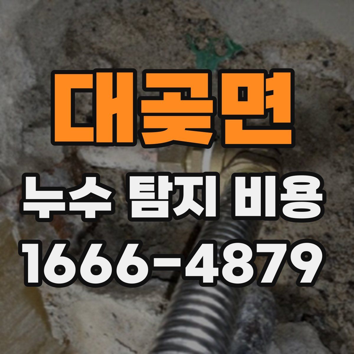 대곶면 누수 탐지 비용