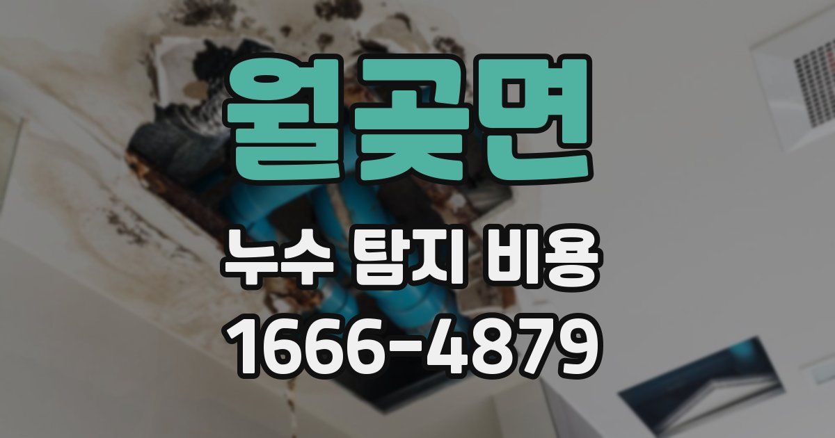 월곶면 누수 탐지 비용