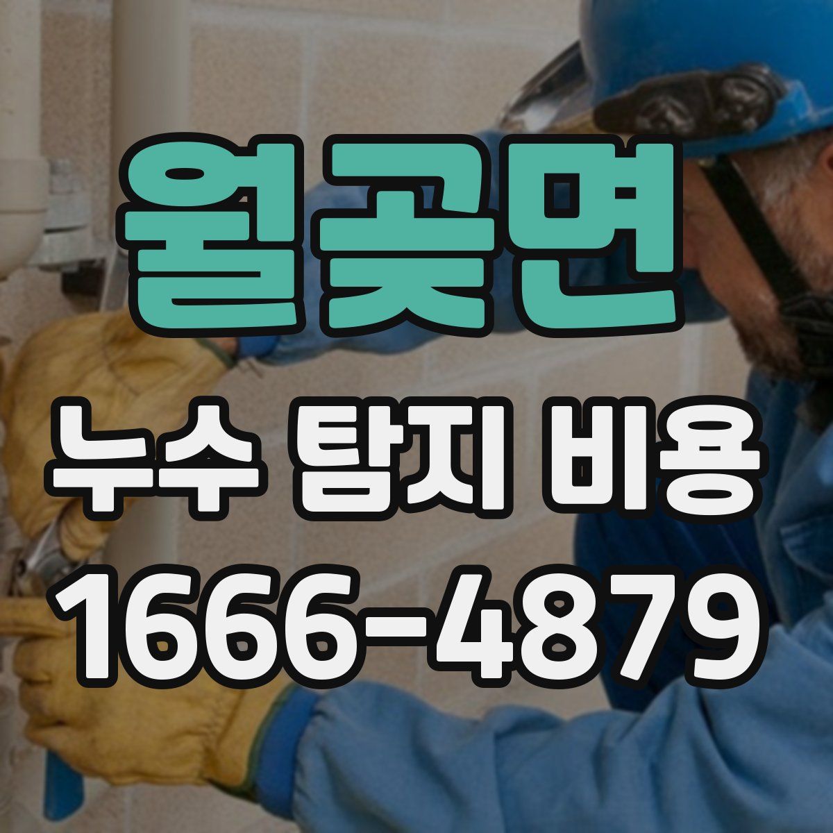 월곶면 누수 탐지 비용