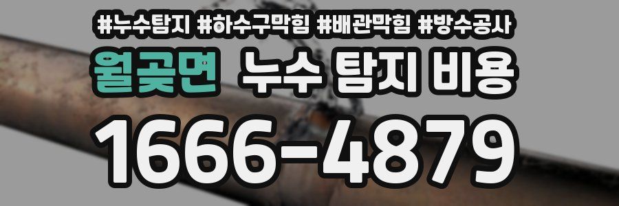 월곶면 누수 탐지 비용