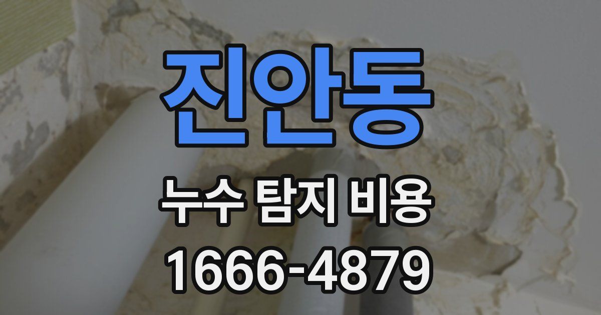 진안동 누수 탐지 비용