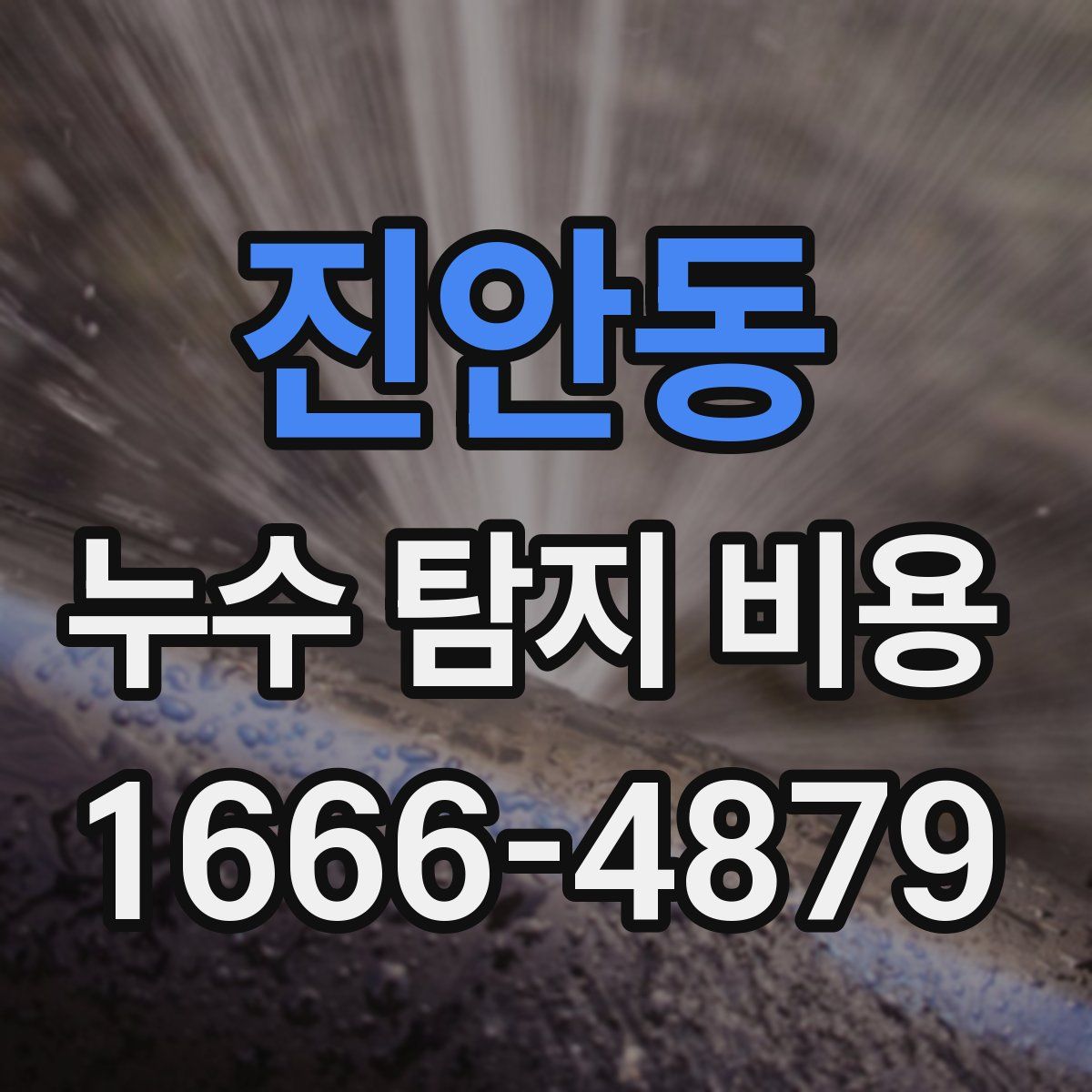 진안동 누수 탐지 비용