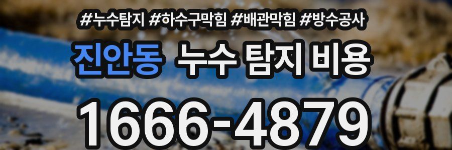 진안동 누수 탐지 비용
