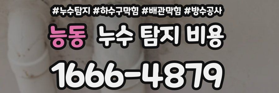 능동 누수 탐지 비용