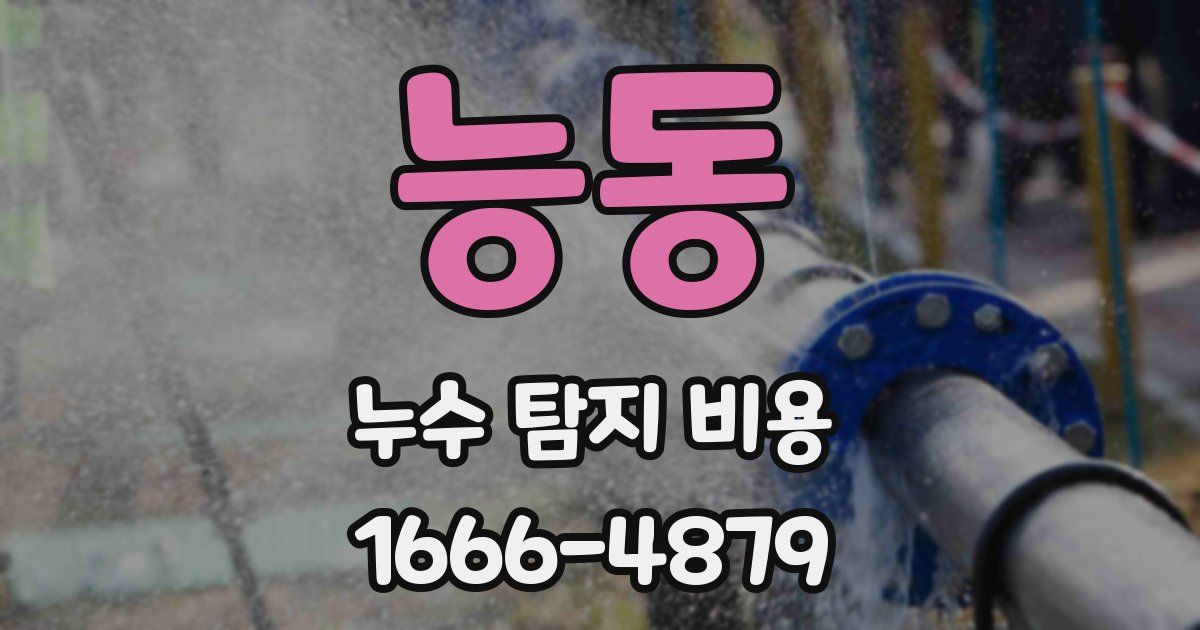 능동 누수 탐지 비용