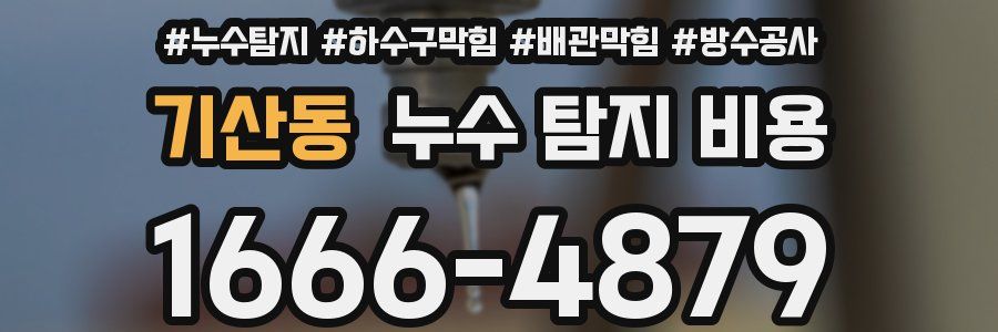 기산동 누수 탐지 비용