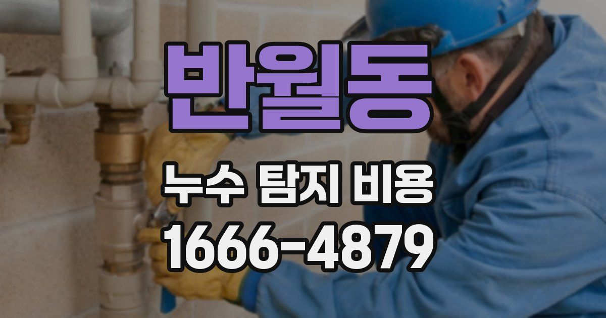 반월동 누수 탐지 비용