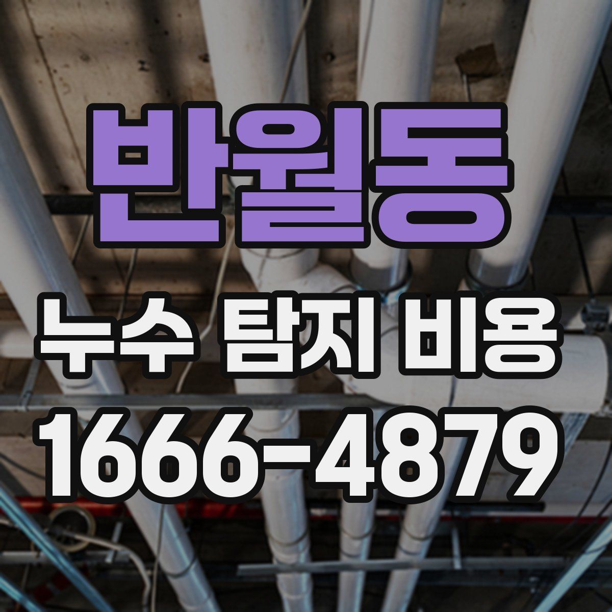 반월동 누수 탐지 비용