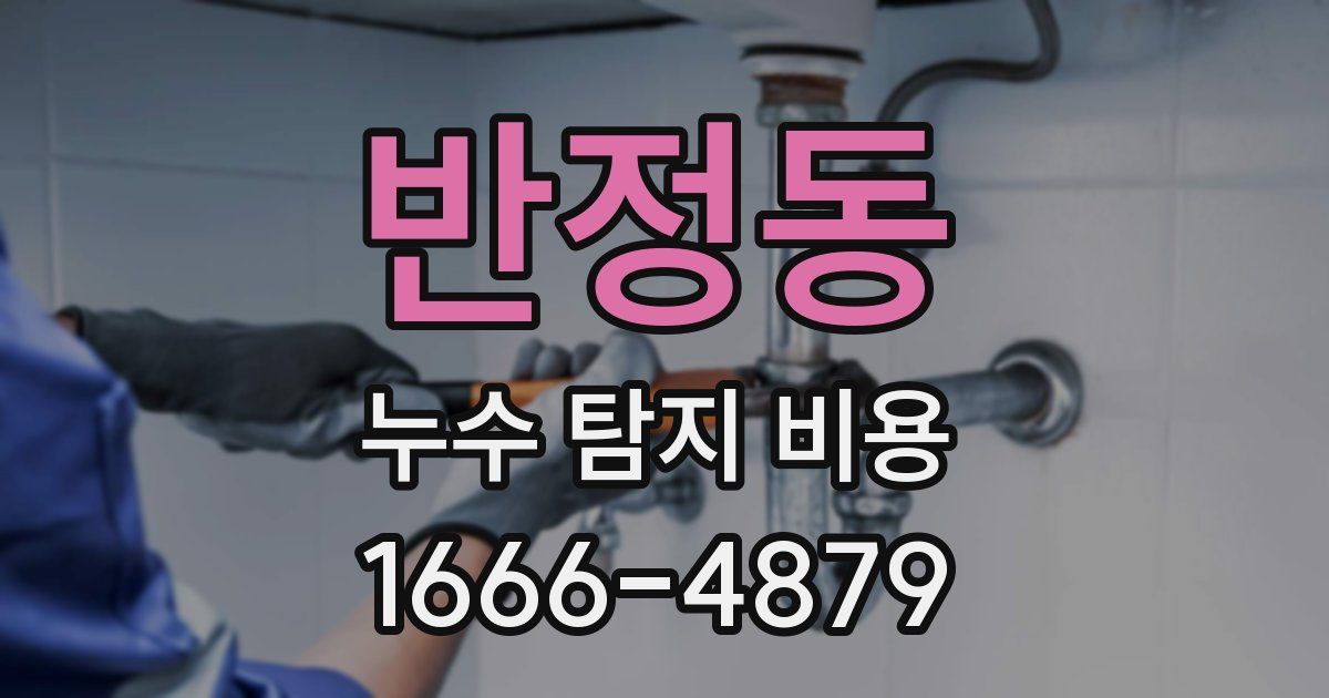 반정동 누수 탐지 비용
