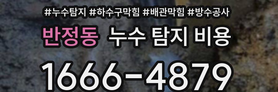 반정동 누수 탐지 비용