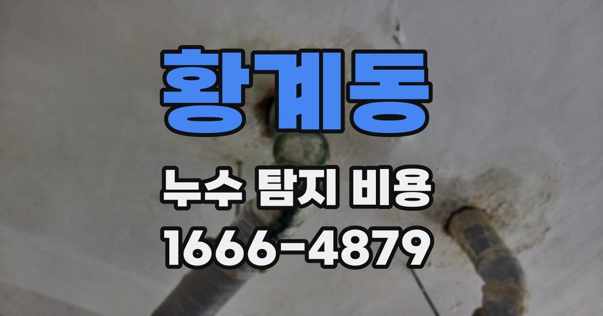 황계동 누수 탐지 비용