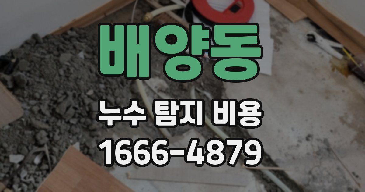 배양동 누수 탐지 비용