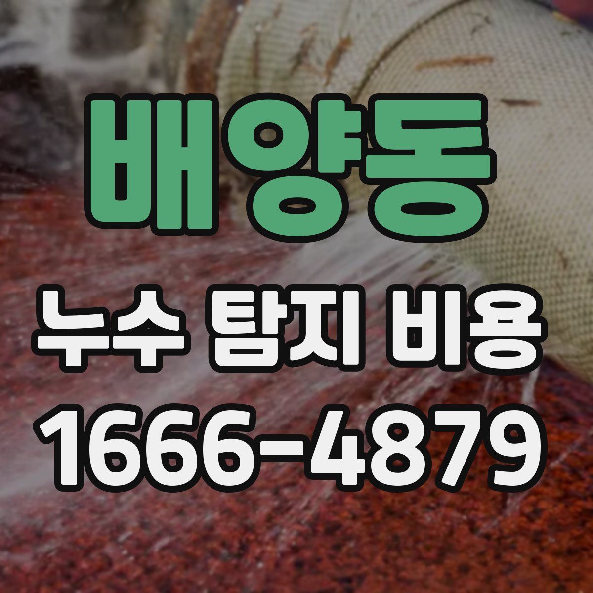 배양동 누수 탐지 비용