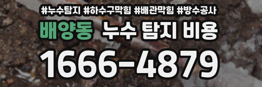 배양동 누수 탐지 비용