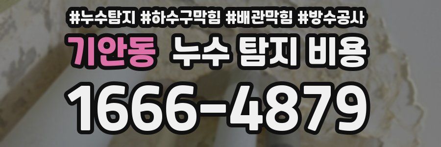 기안동 누수 탐지 비용