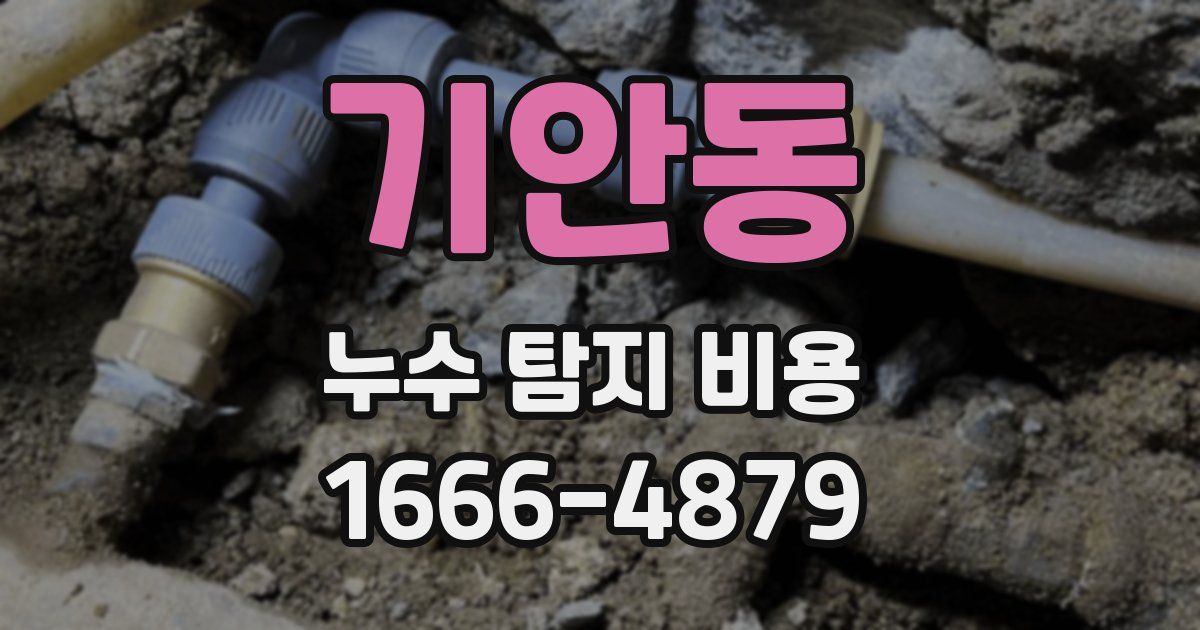 기안동 누수 탐지 비용