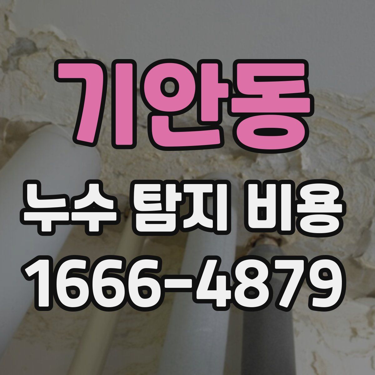 기안동 누수 탐지 비용