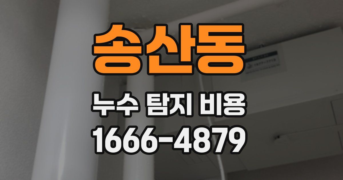 송산동 누수 탐지 비용