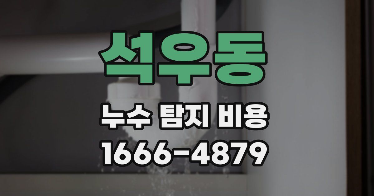 석우동 누수 탐지 비용