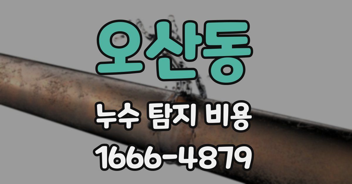 오산동 누수 탐지 비용