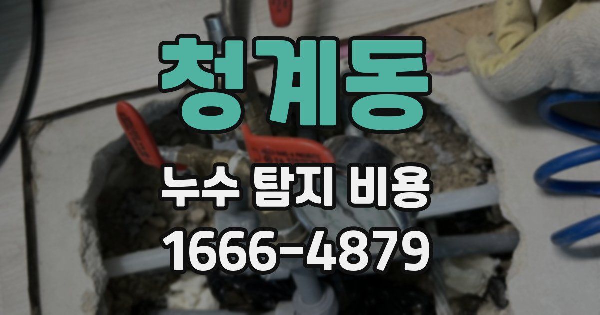 청계동 누수 탐지 비용
