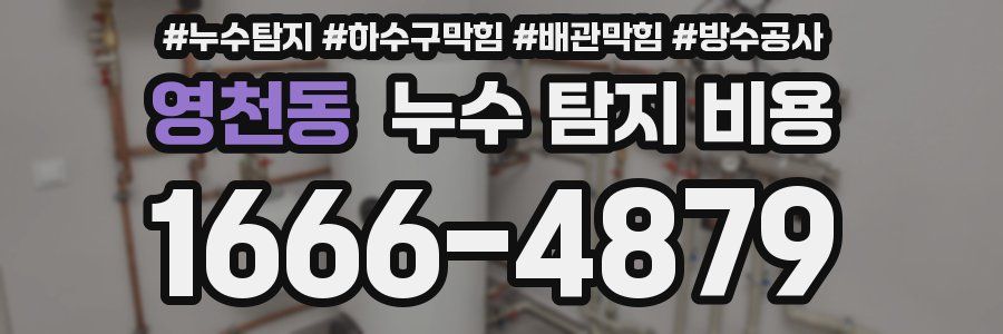 영천동 누수 탐지 비용