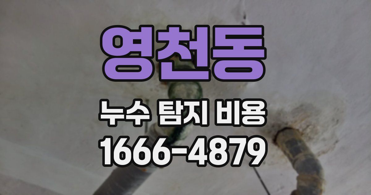 영천동 누수 탐지 비용