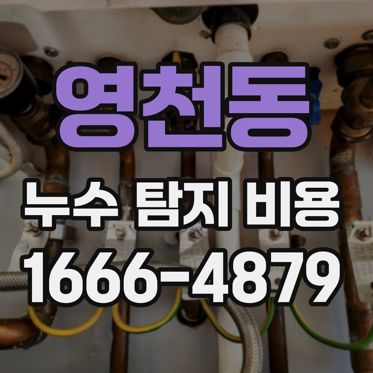 영천동 누수 탐지 비용