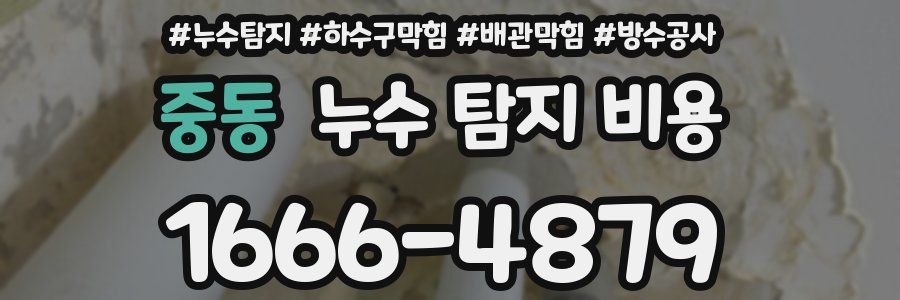 중동 누수 탐지 비용