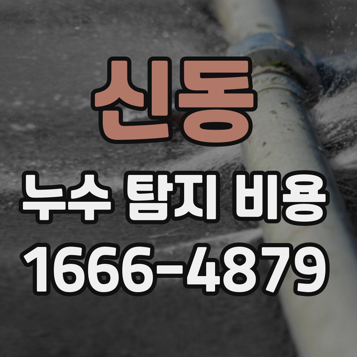 신동 누수 탐지 비용